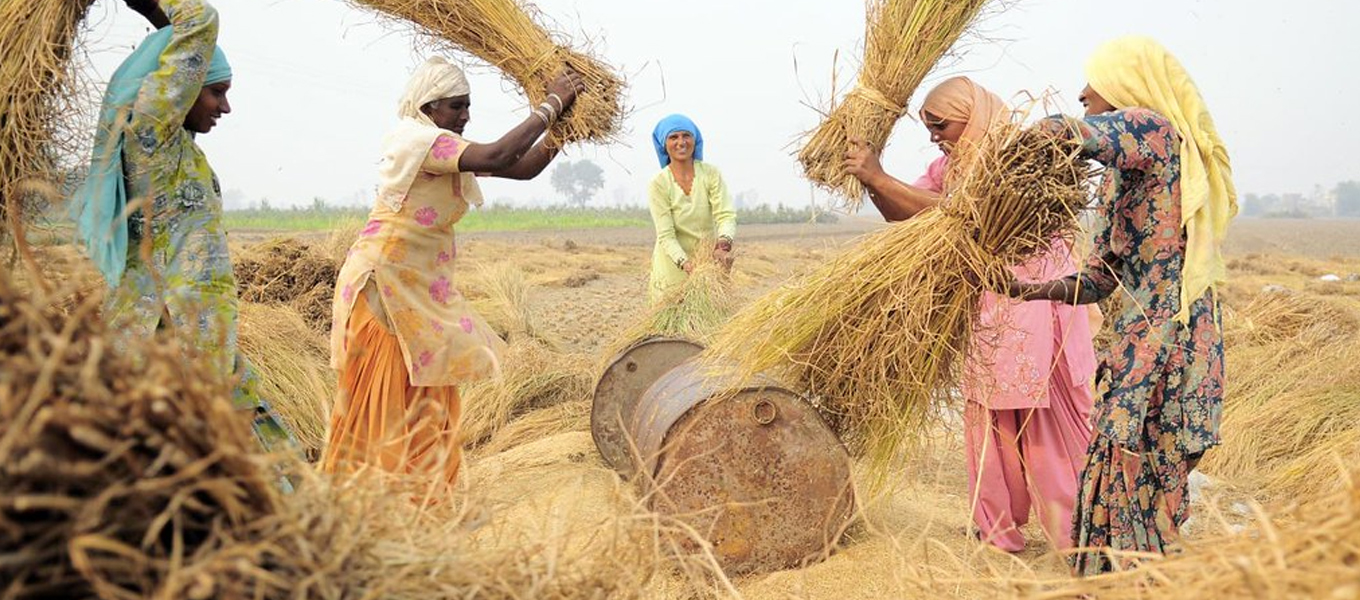 Agri Research